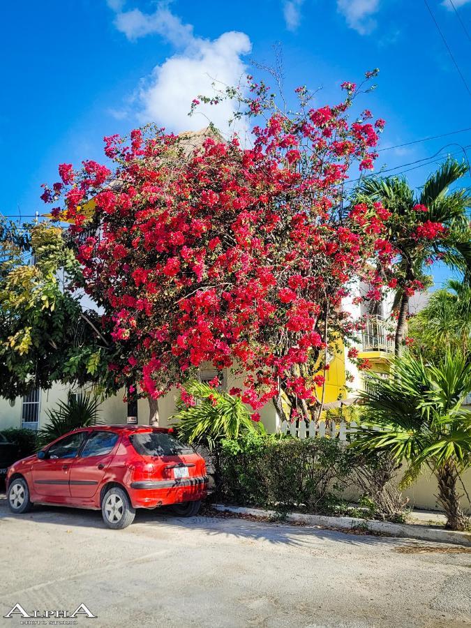 Tu Casa En El Caribe Διαμέρισμα Κανκούν Εξωτερικό φωτογραφία