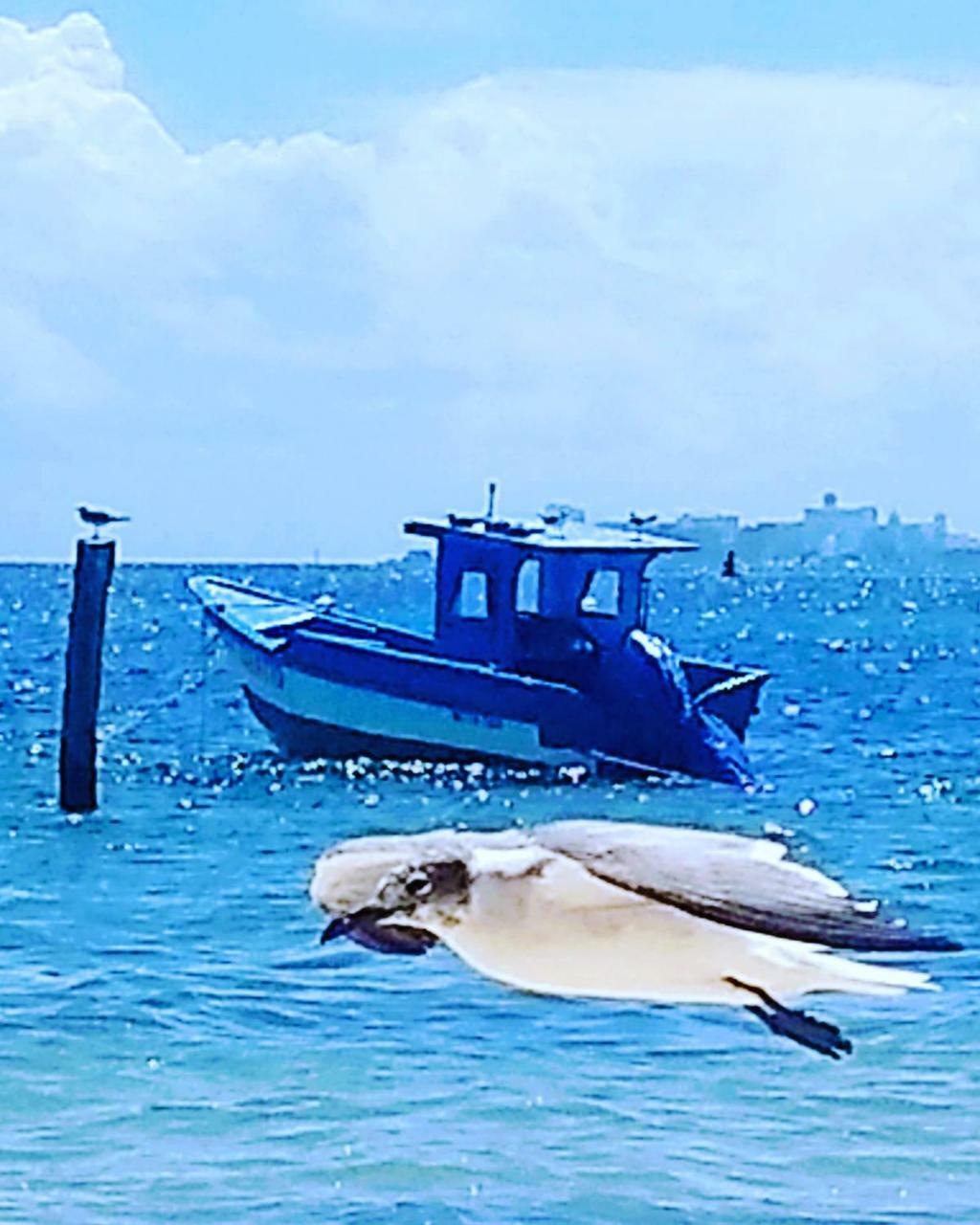Tu Casa En El Caribe Διαμέρισμα Κανκούν Εξωτερικό φωτογραφία